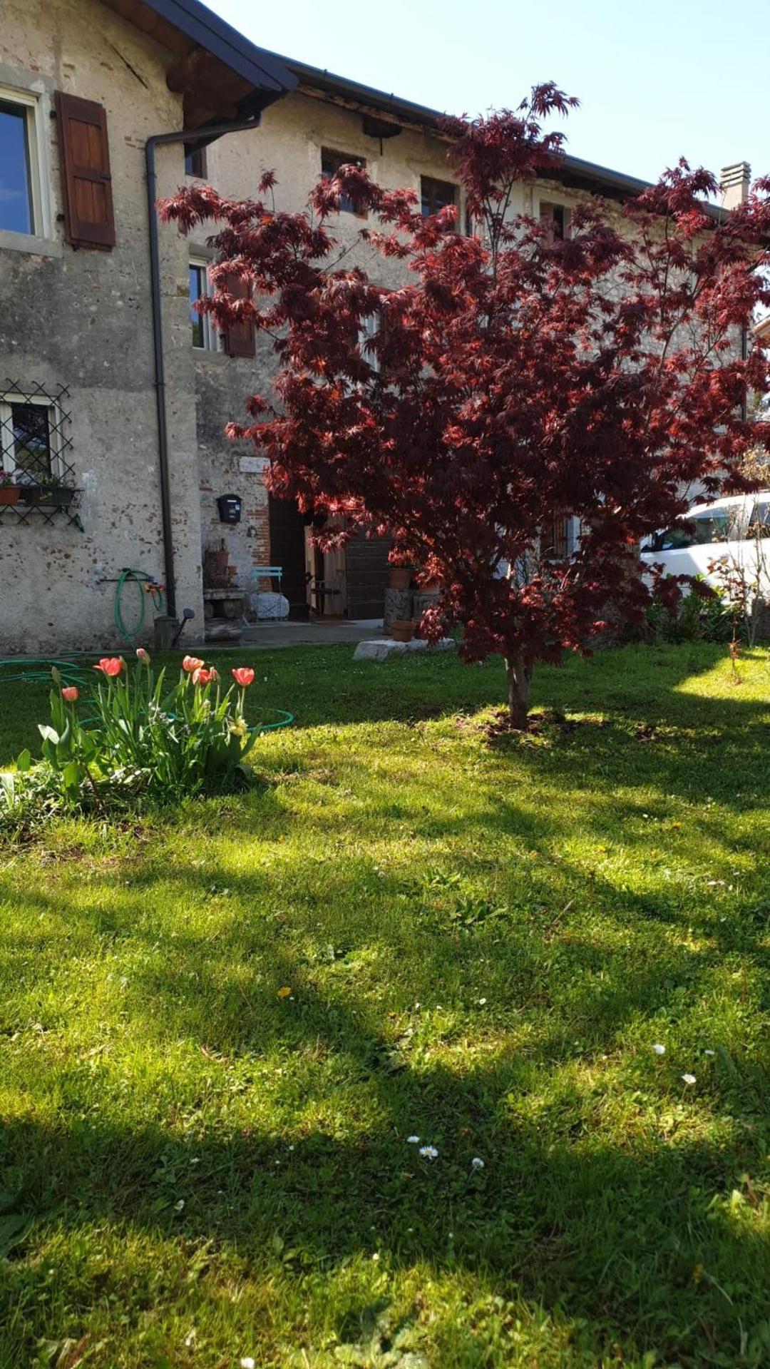 B&B Karin e Arnaldo Udine Dış mekan fotoğraf